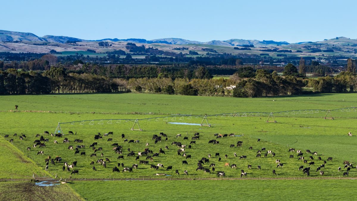 Gaji Kerja di Perkebunan New Zealand Mployee